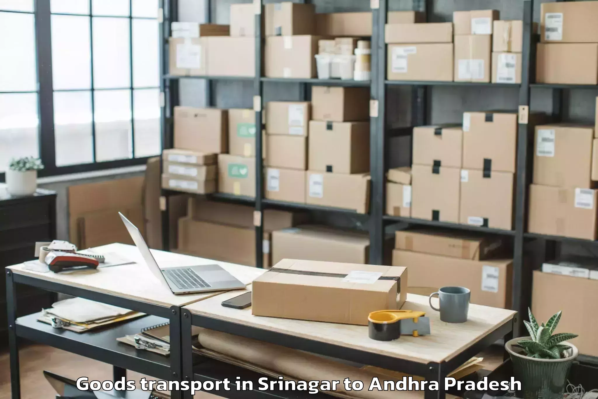 Expert Srinagar to Kurnool Goods Transport